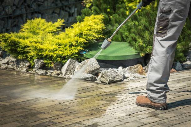 Best Gutter Cleaning  in Paloma Creek, TX
